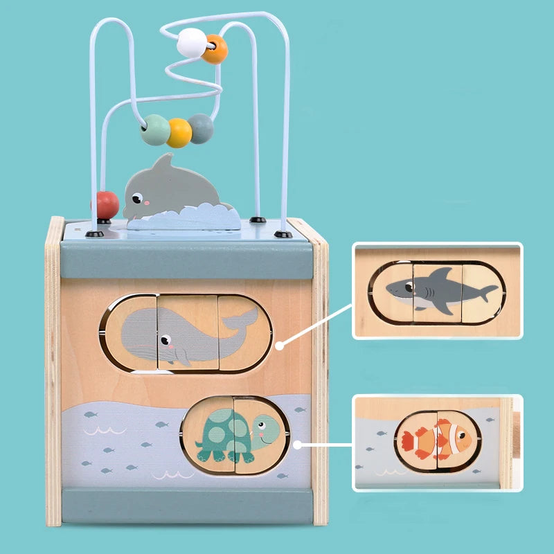 5in1 Wooden Activity Cube Toy